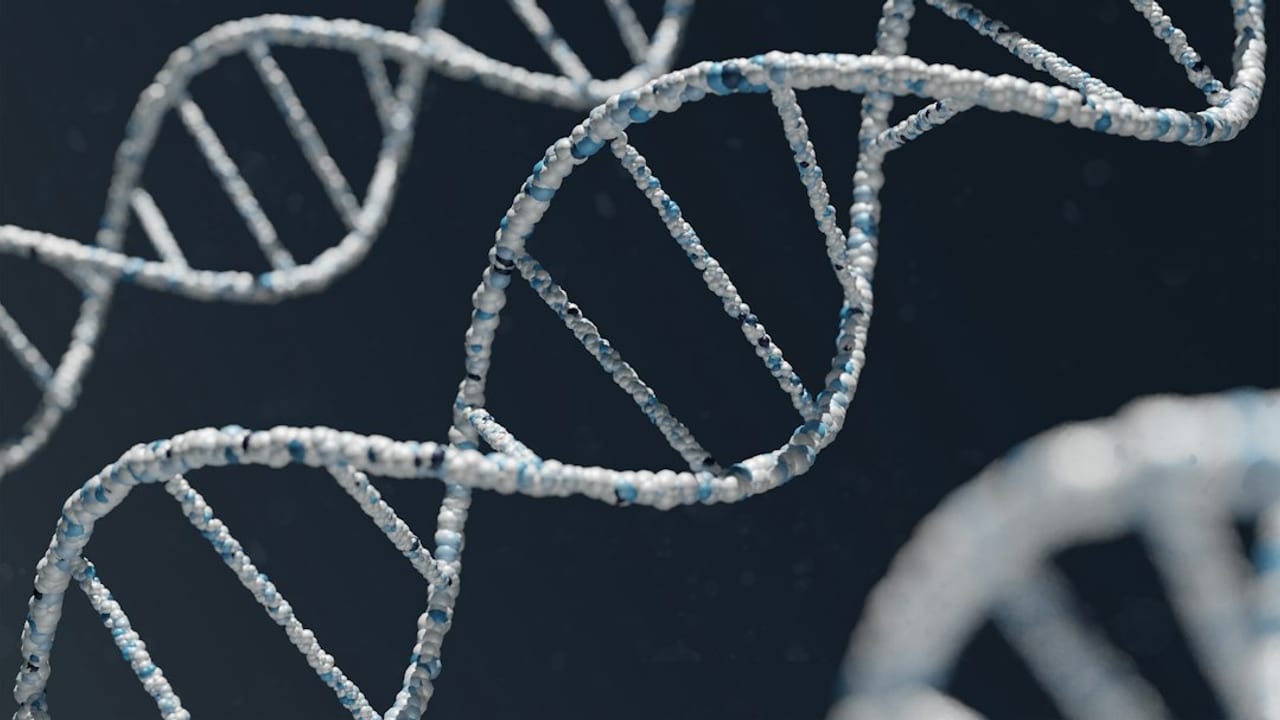 Archives Written in DNA: AtlasBase's Thalia Chip Eyes the Leap from 100 Terabytes to 5 Exabytes