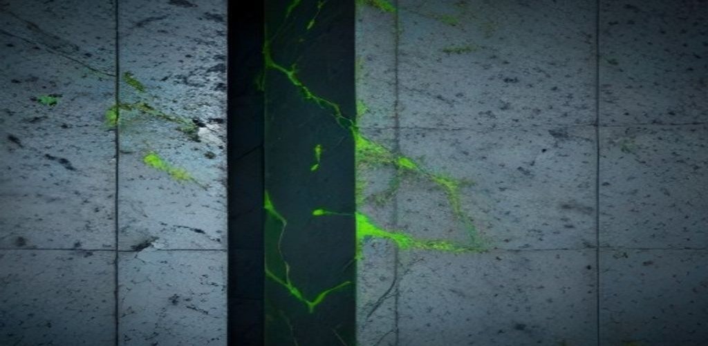 Dünya Tahvil Piyasası Neden Çözülüyor: Japonya, İngiltere ve Amerika'dan Üç Ders
