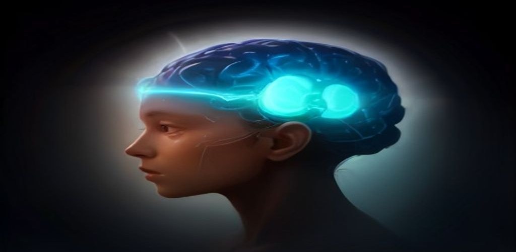 The Real Cause of Hot Flashes: Rapid Estrogen Drop and the Brain Thermostat